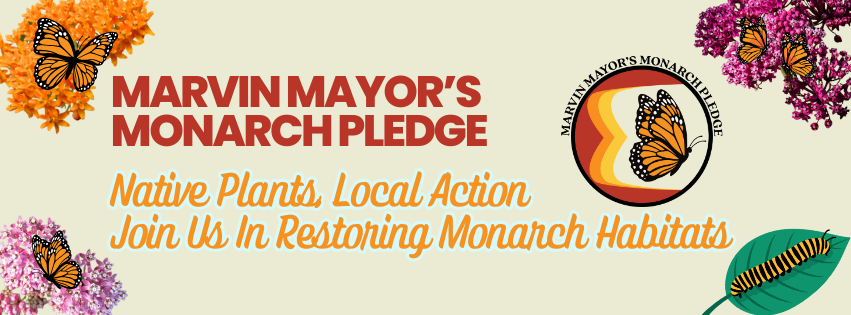 Marvin Mayor's Monarch Pledge Banner